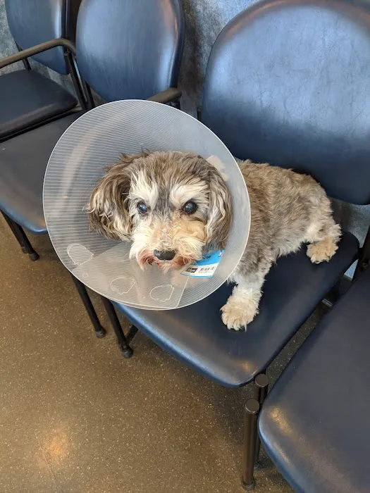 South Shore Animal Hospital Picture 7