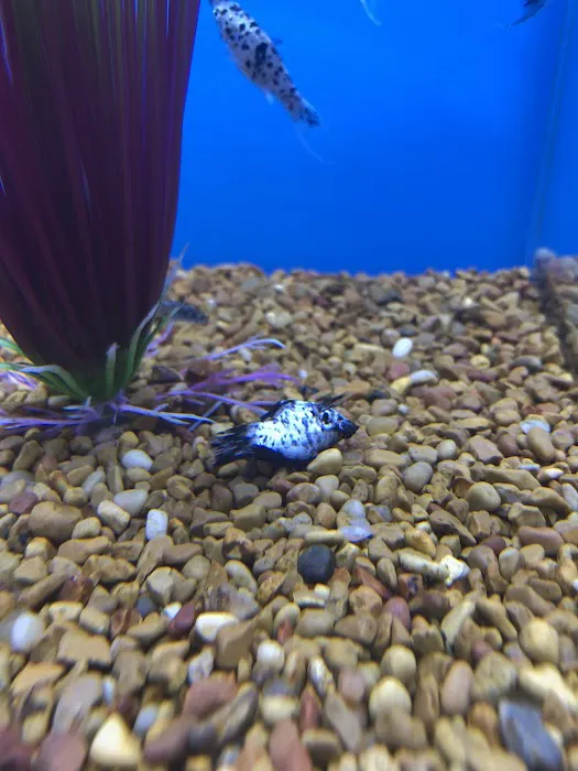 Petco Picture 9