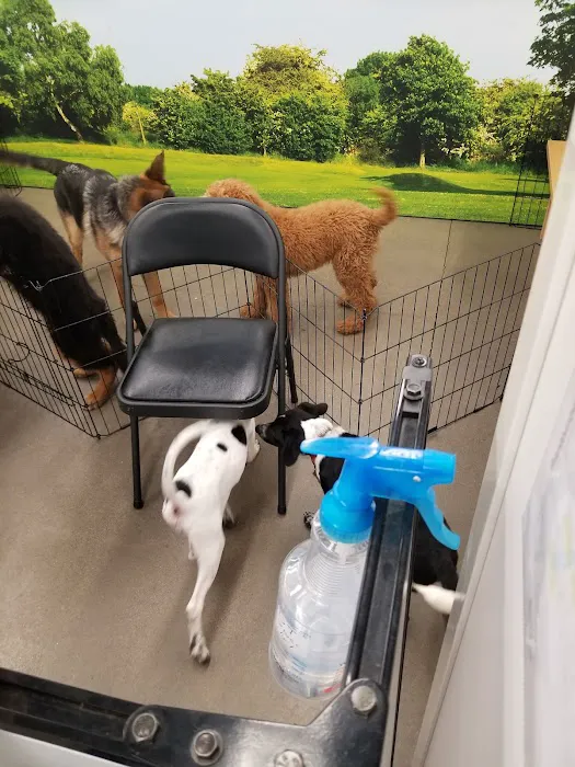 Petco Picture 10