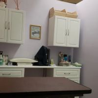 Long Island Veterinary Acupuncture ico
