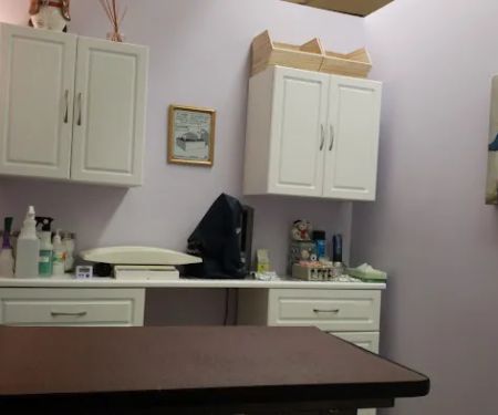 Long Island Veterinary Acupuncture