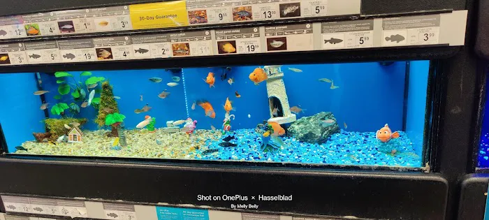 Petco Picture 4