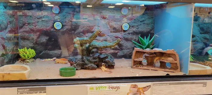 Petco Picture 10