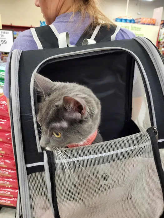 Petco Picture 9