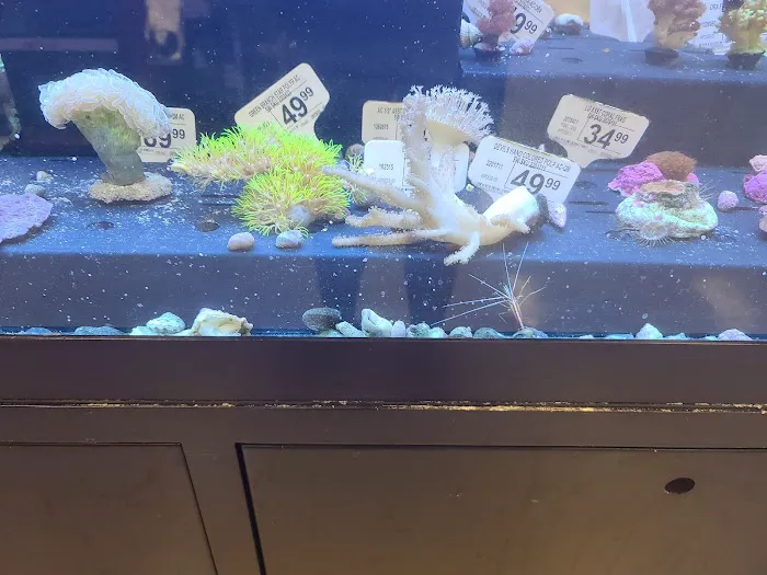 Petco Picture 8