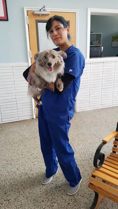 Massapequa Hospital for Animals, A Thrive Pet Healthcare Partner Picture 3