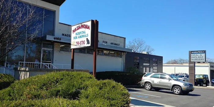 Massapequa Hospital for Animals, A Thrive Pet Healthcare Partner Picture 8