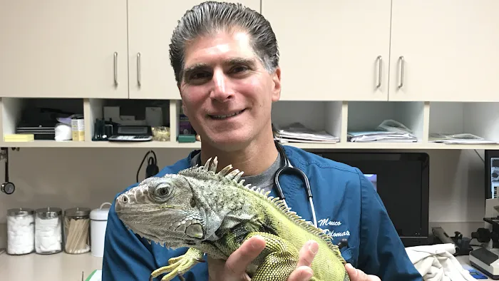 Old Country Animal Clinic Picture 8