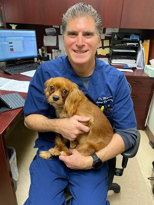 Old Country Animal Clinic Picture 2