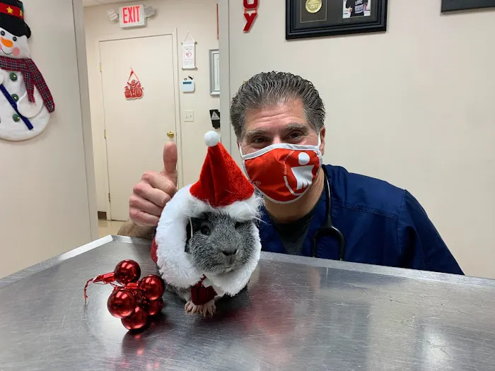 Old Country Animal Clinic Picture 4