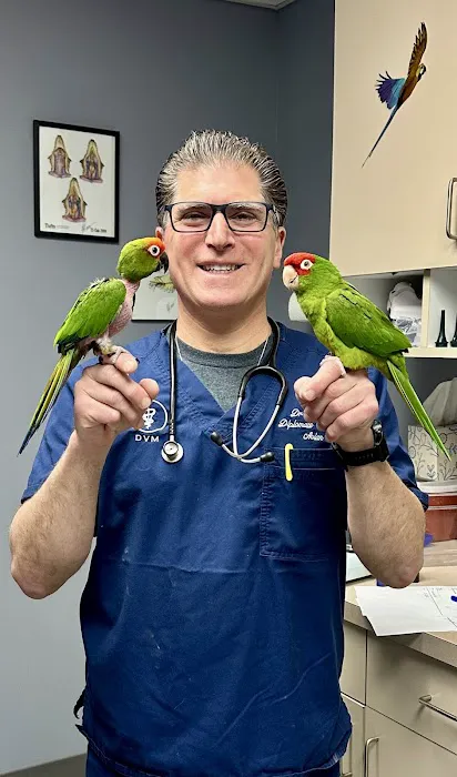 Old Country Animal Clinic Picture 5