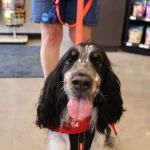 Chuck & Don's Pet Food & Supplies