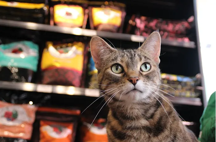 Chuck & Don's Pet Food & Supplies Picture 4