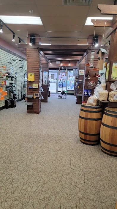 All Seasons Wild Bird Store Picture 1