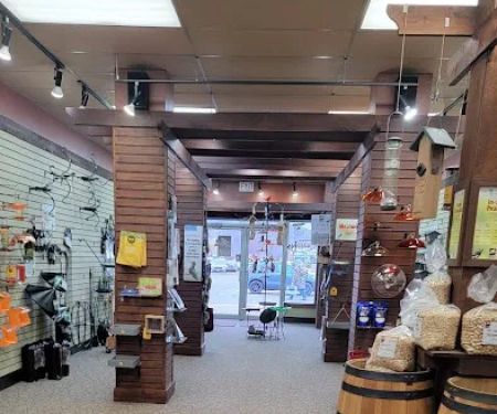 All Seasons Wild Bird Store