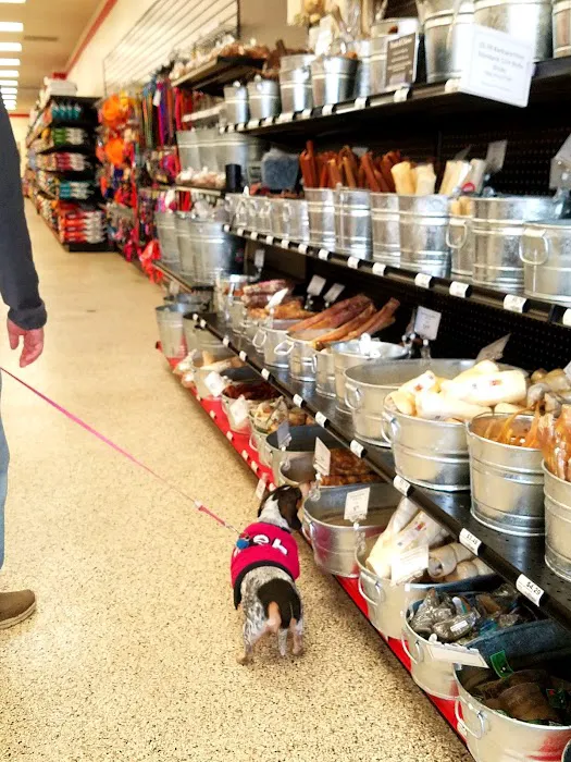 Chuck & Don's Pet Food & Supplies Picture 9