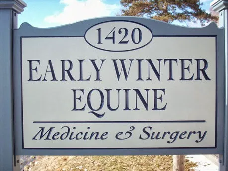 Early Winter Equine Medicine Picture 1