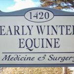 Early Winter Equine Medicine