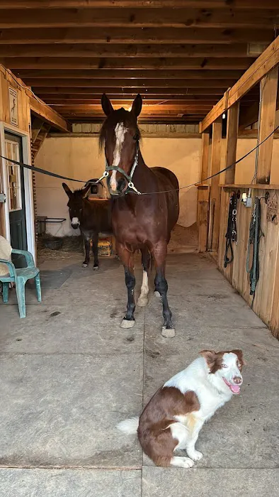 Starland Veterinary Services Picture 1