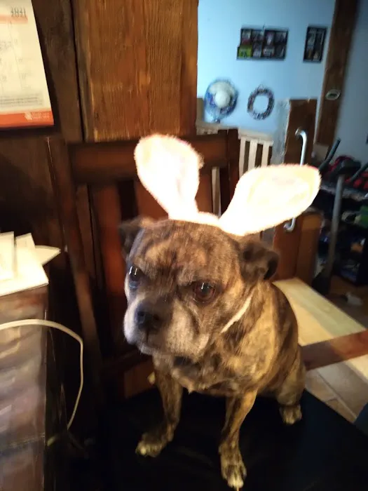 Trumansburg Veterinary Clinic Picture 8
