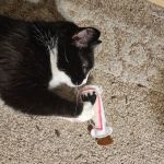 Fuzzbutt Boutique