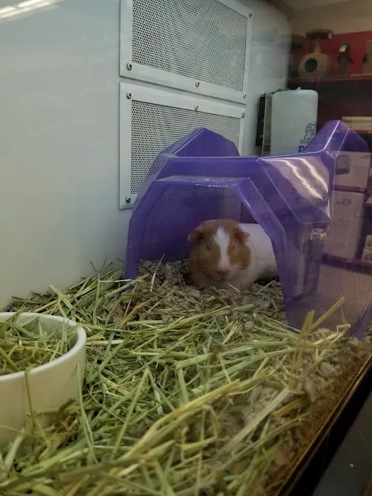 Petco Picture 6