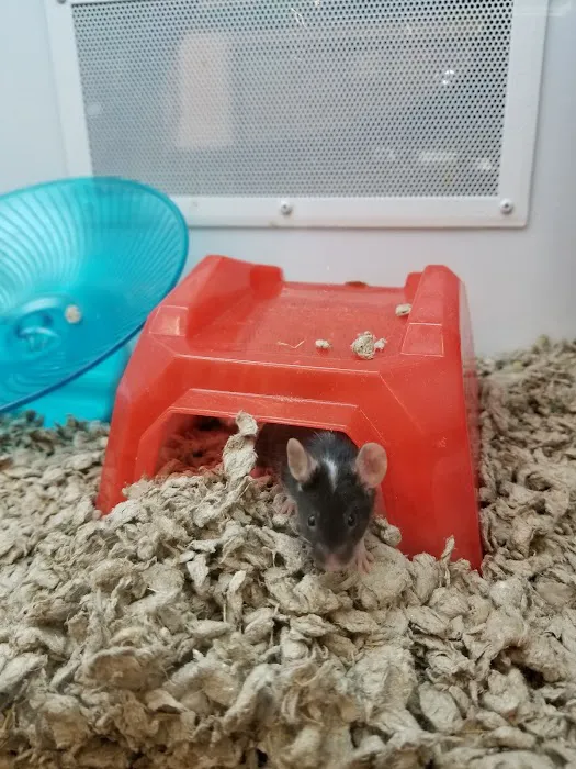 Petco Picture 4