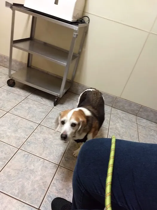 Mobile Veterinary Clinic Picture 2