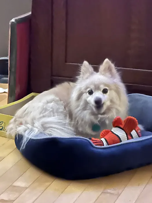 Chuck & Don's Pet Food & Supplies Picture 4