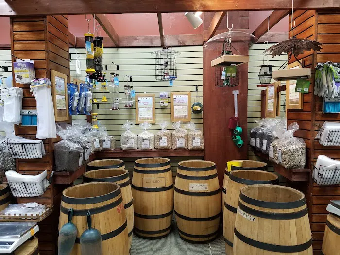 All Seasons Wild Bird Store Picture 2