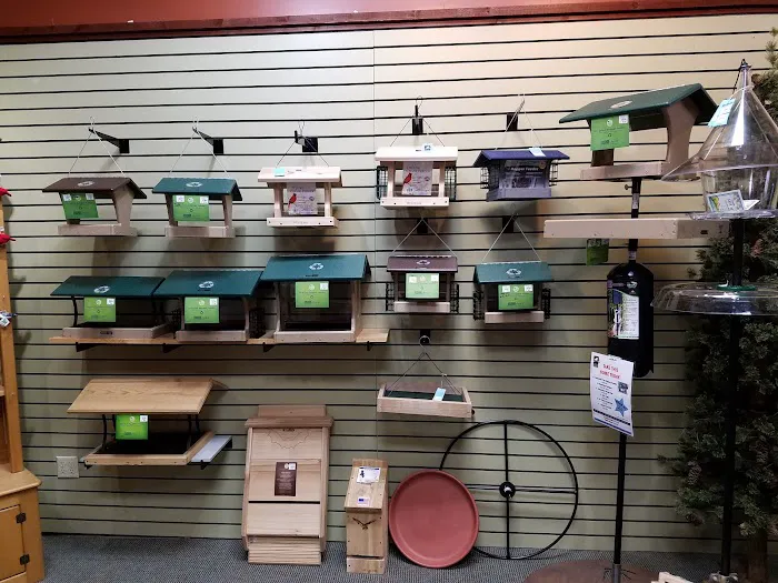 All Seasons Wild Bird Store Picture 1