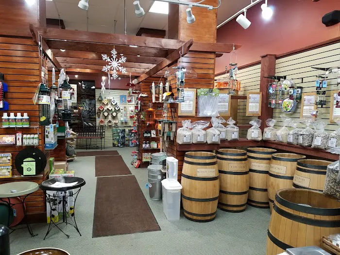 All Seasons Wild Bird Store Picture 4