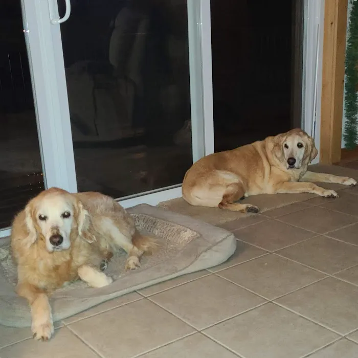 Cobleskill Veterinary Clinic Picture 8