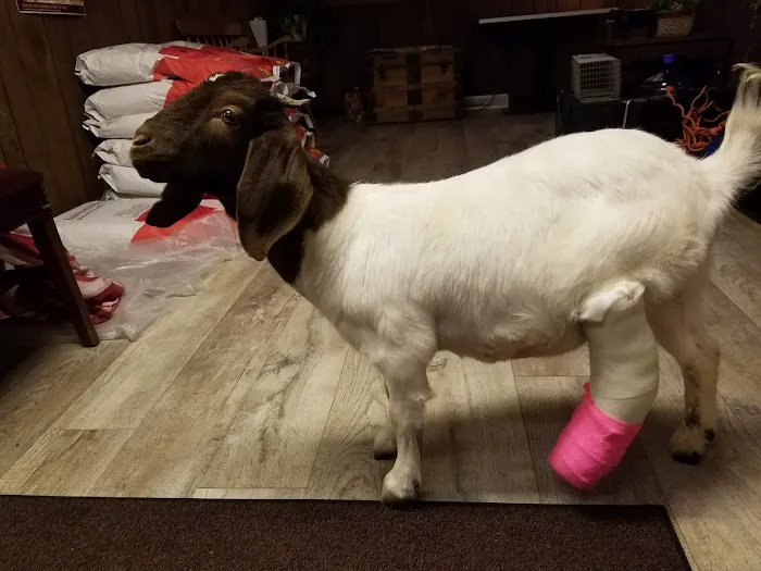 Midvale Veterinary Clinic Picture 4