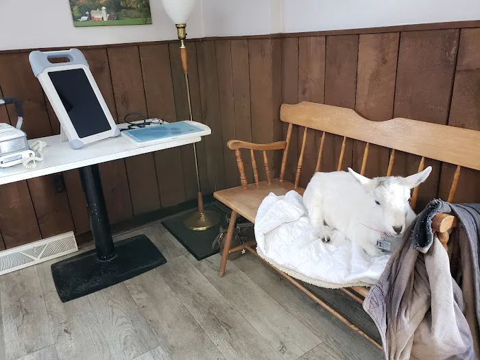 Midvale Veterinary Clinic Picture 5