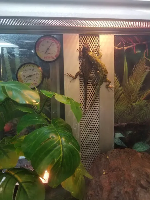 Petco Picture 9
