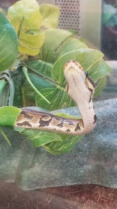 Petco Picture 7