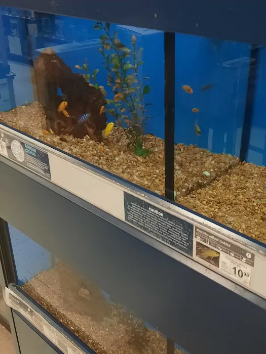 Petco Picture 10