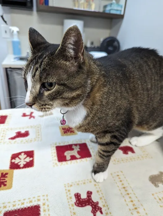 Fort Plain Animal Hospital Picture 10
