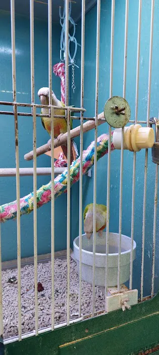 Atlas Pet Supply Picture 2