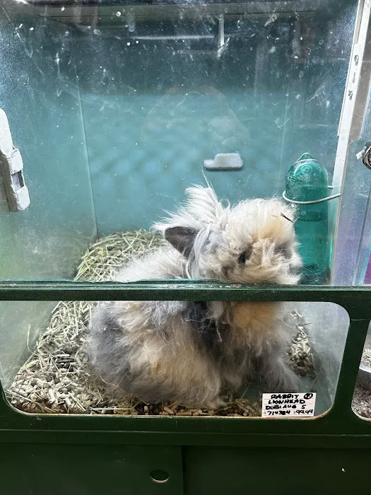 Atlas Pet Supply Picture 7