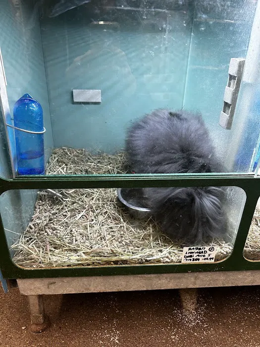 Atlas Pet Supply Picture 9