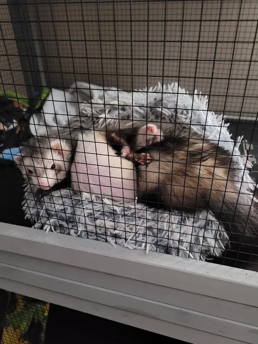 Atlas Pet Supply Picture 10