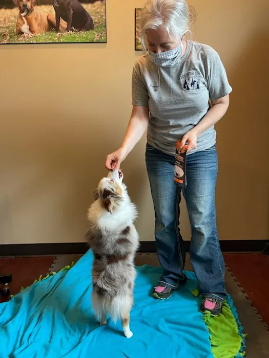 Animal Intuition Picture 7