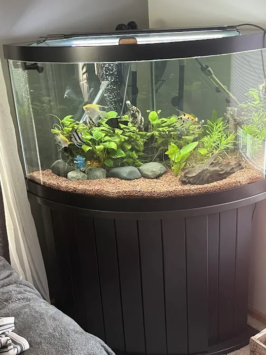 Advanced Aquarium Services Picture 1