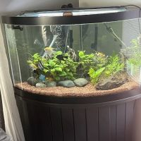 Advanced Aquarium Services ico