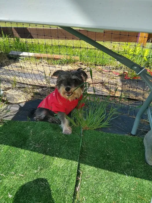 Glen Animal Hospital Picture 7
