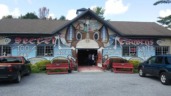 Howes Cave Animal Hospital Picture 6