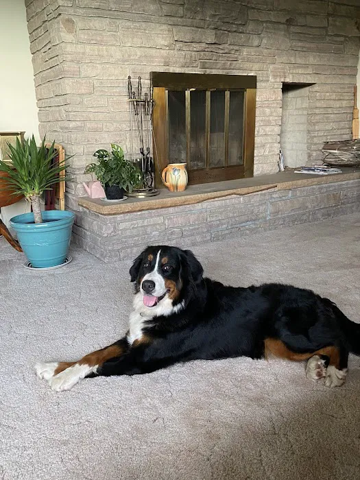Noah's Ark Animal Hospital Picture 10
