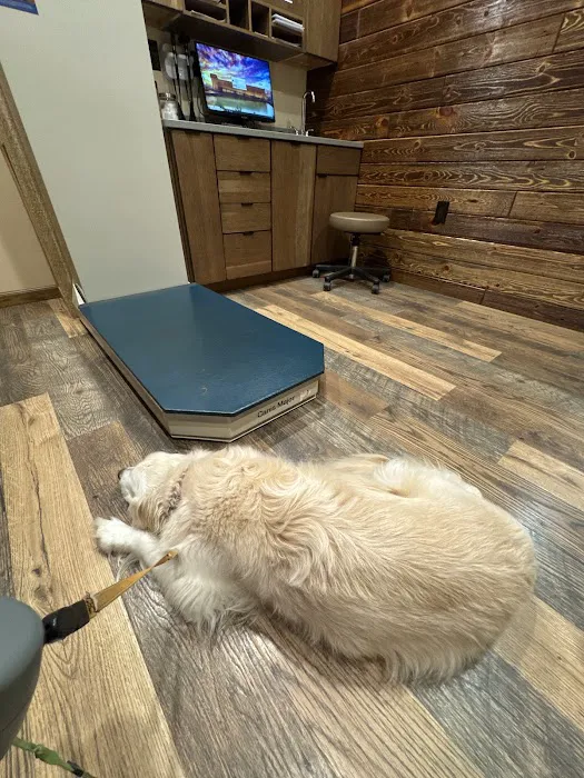 Noah's Ark Animal Hospital Picture 8